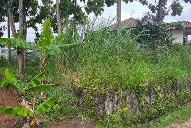 Di Jual Tanah di Terusan Panyileukan, Dekat UIN & Polda Jawa Barat